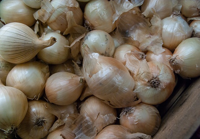 cibule